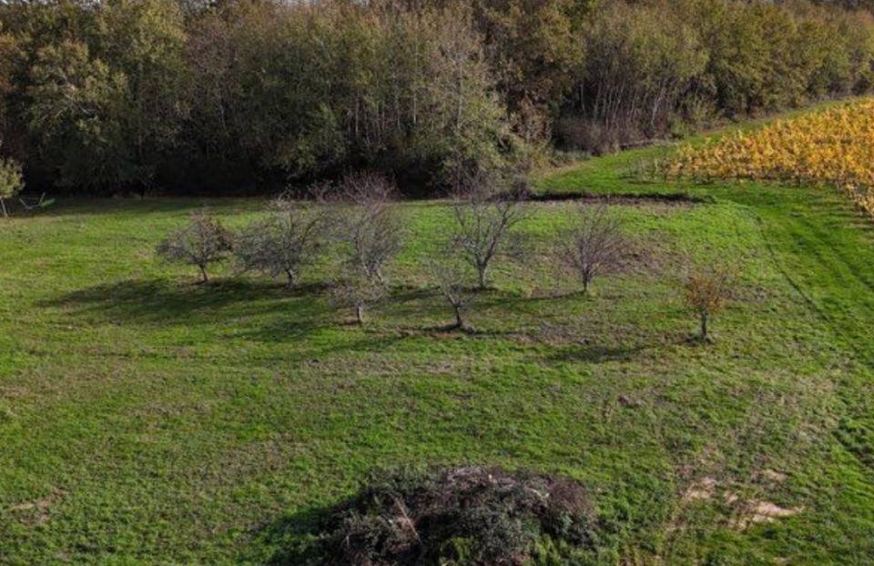 terrain à batir viabilisé en vente à Cardan