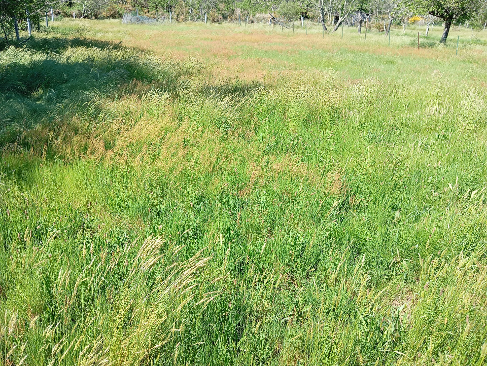 terrain constructible de 790m2 à Mios