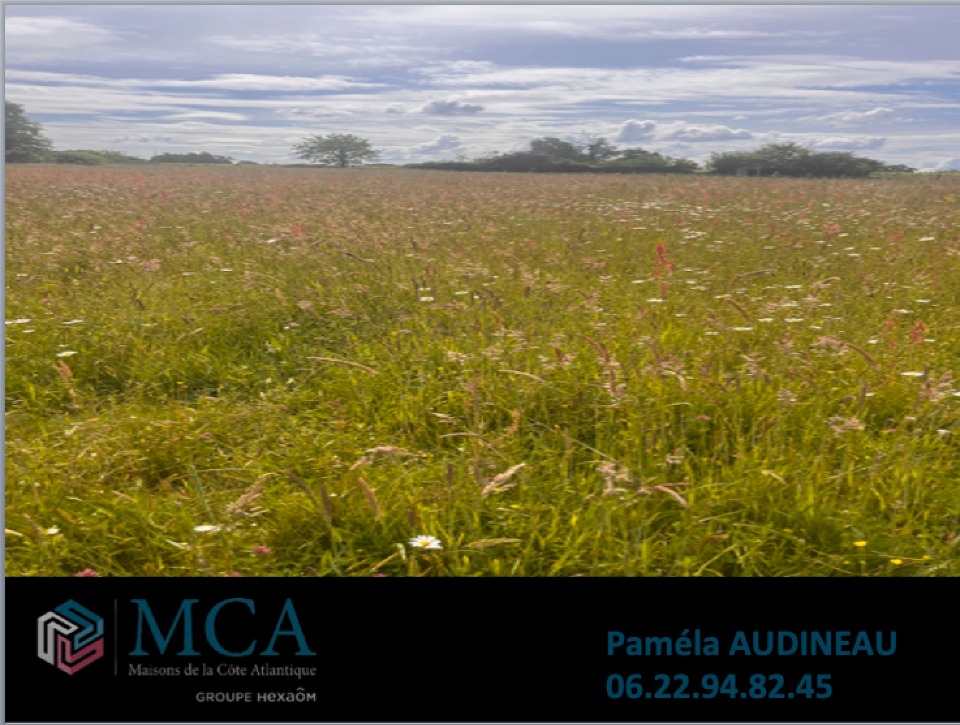 Acheter un terrain à batir viabilisé de 440m2 disponible à Vayres