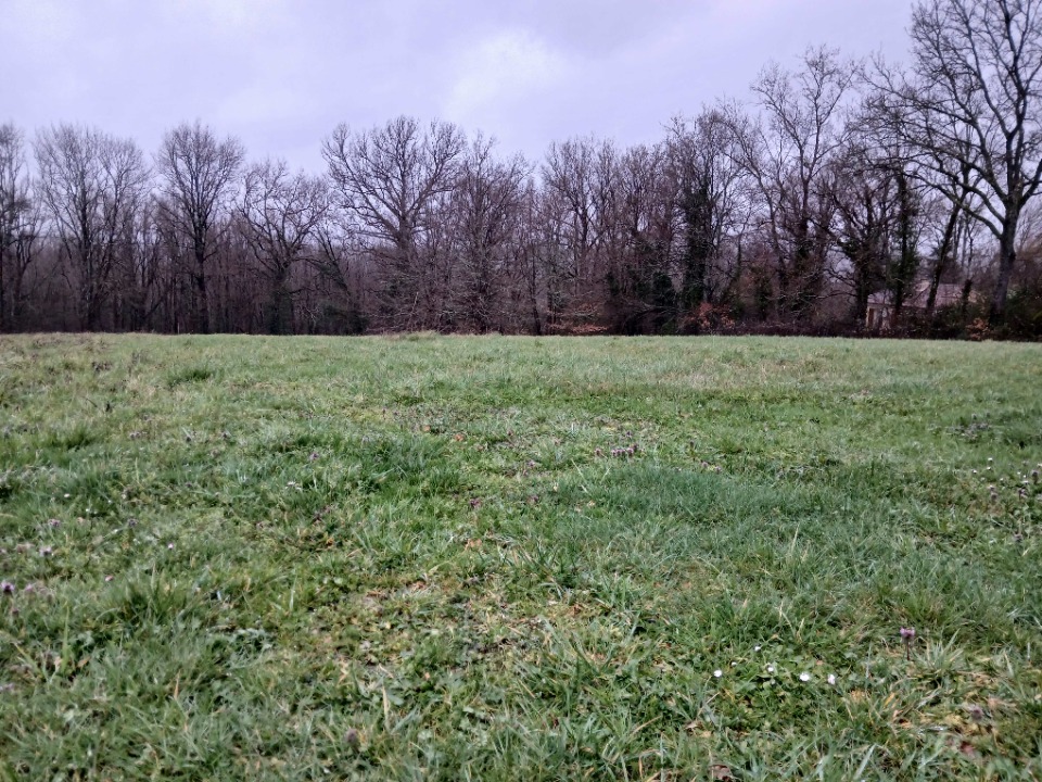 terrain viabilisé de 4000m2 en vente à Ribérac (24600)