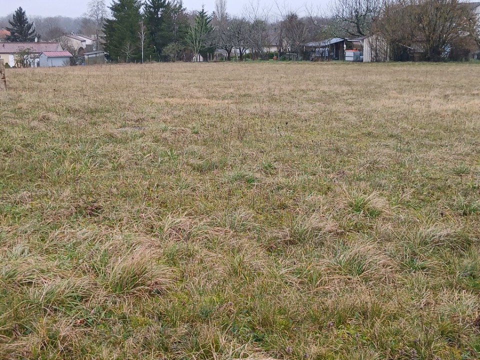 Charmant terrain viabilisé disponible à Verteillac (24320)