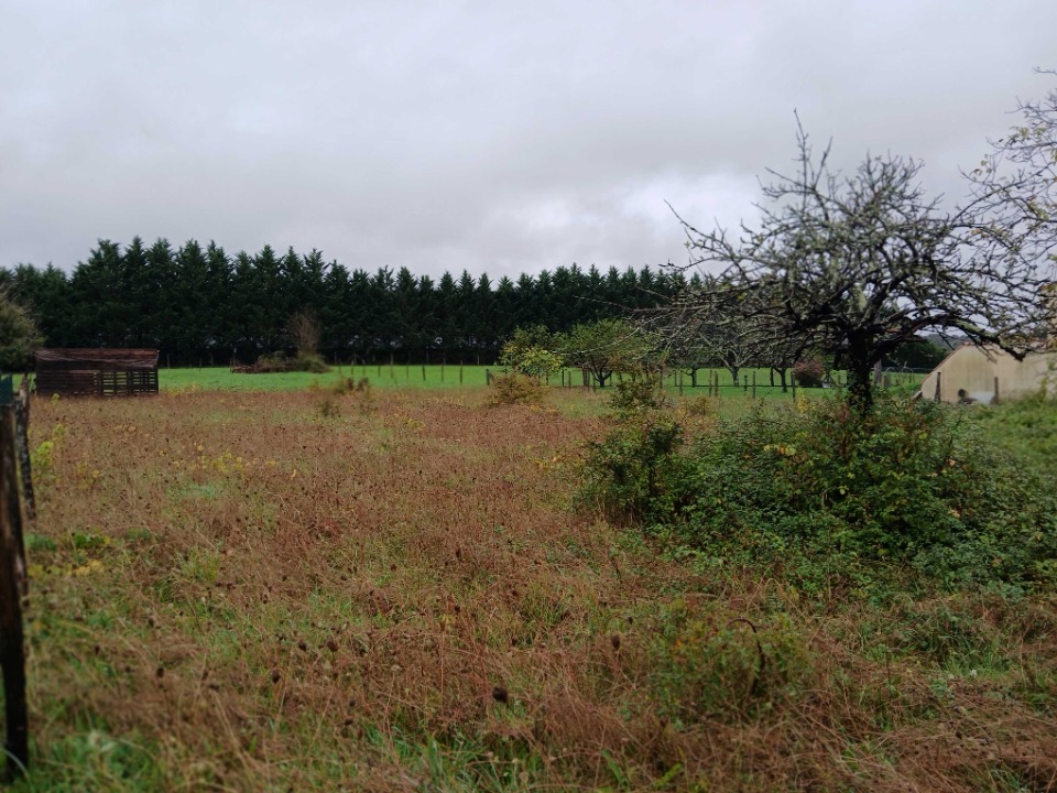 terrain à vendre viabilisé en vente à Tocane-Saint-Apre (24350)