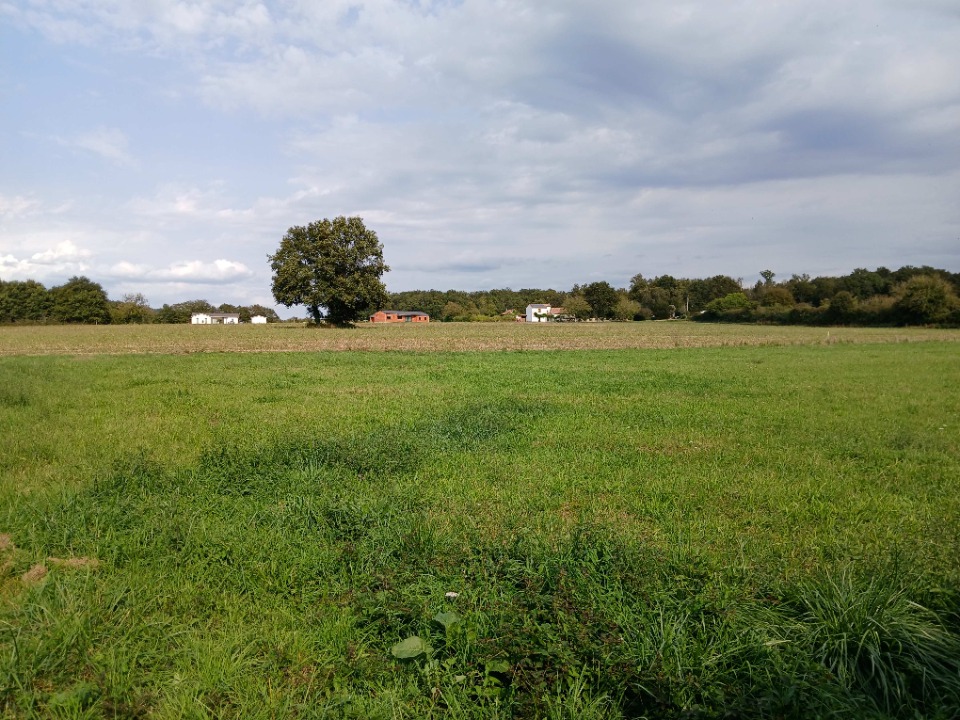 terrain à construire viabilisé de 2852m2 disponible à Tocane-Saint-Apre (24350)