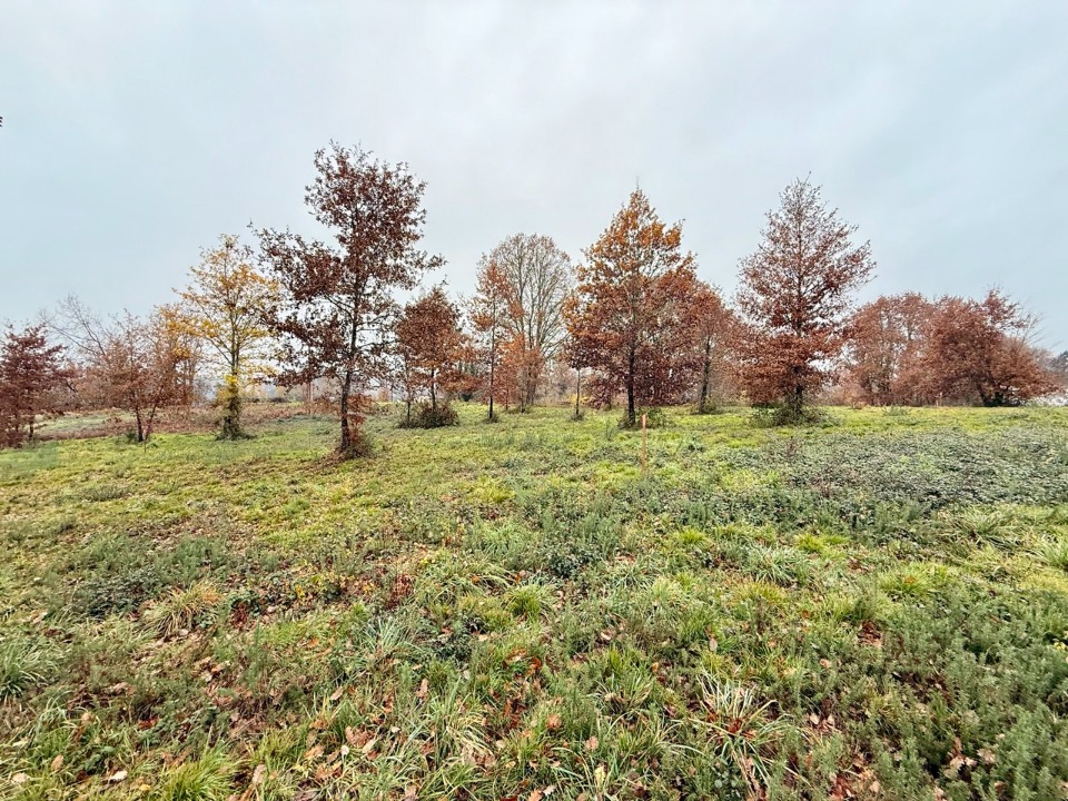 Acheter un terrain de 1300m2 disponible à Maurens (24140)