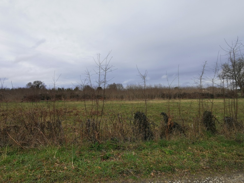 terrain à batir viabilisé à Gornac