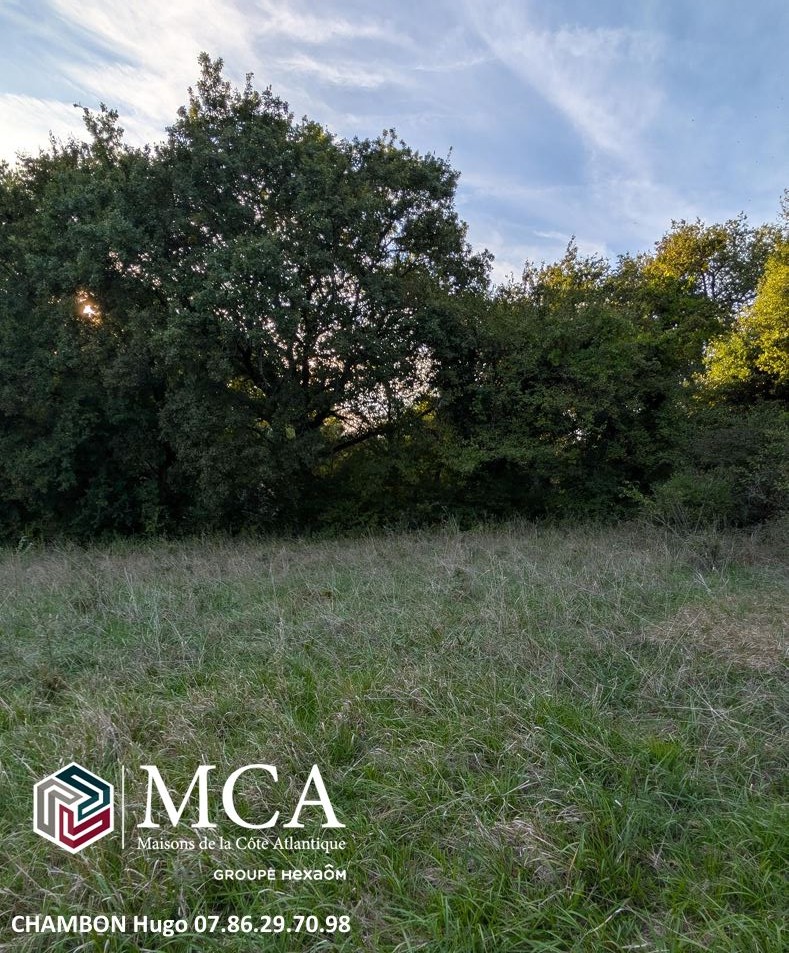 Très beau terrain à Colayrac-Saint-Cirq