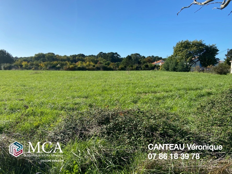 Très beau terrain de 590m2 disponible à Saint-Palais-sur-Mer