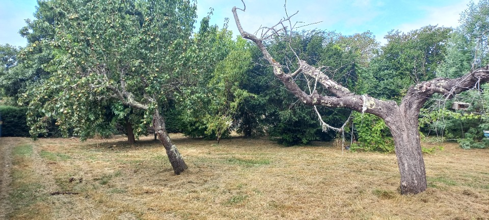 Agréable terrain constructible viabilisé de 830m2 à Montpon-Ménestérol (24700)