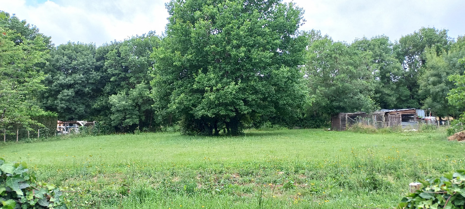 Sublime terrain viabilisé disponible à Ménesplet