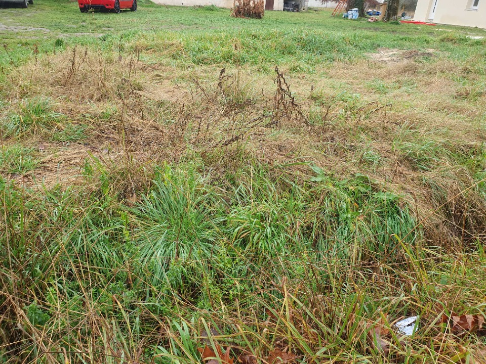 terrain à construire viabilisé de 500m2 à Laruscade (33620)