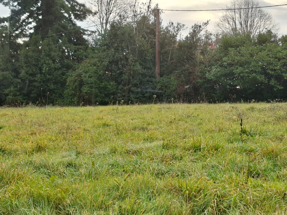 terrain à vendre de 730m2 disponible à Tizac-de-Lapouyade (33620)