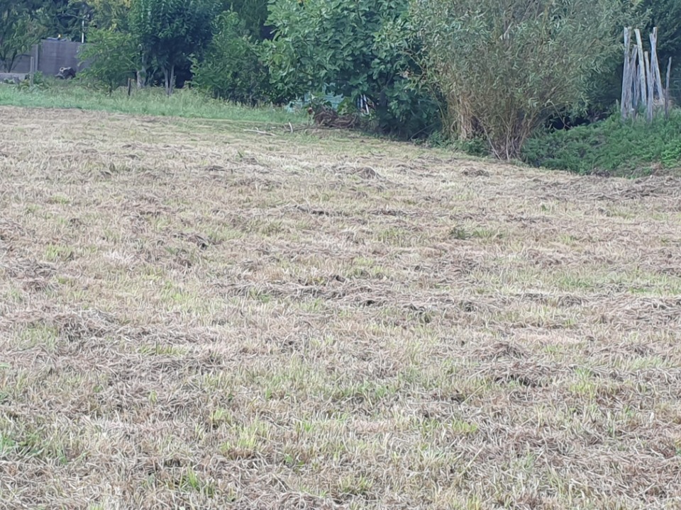 terrain à construire disponible à Saint-Romain-la-Virvée