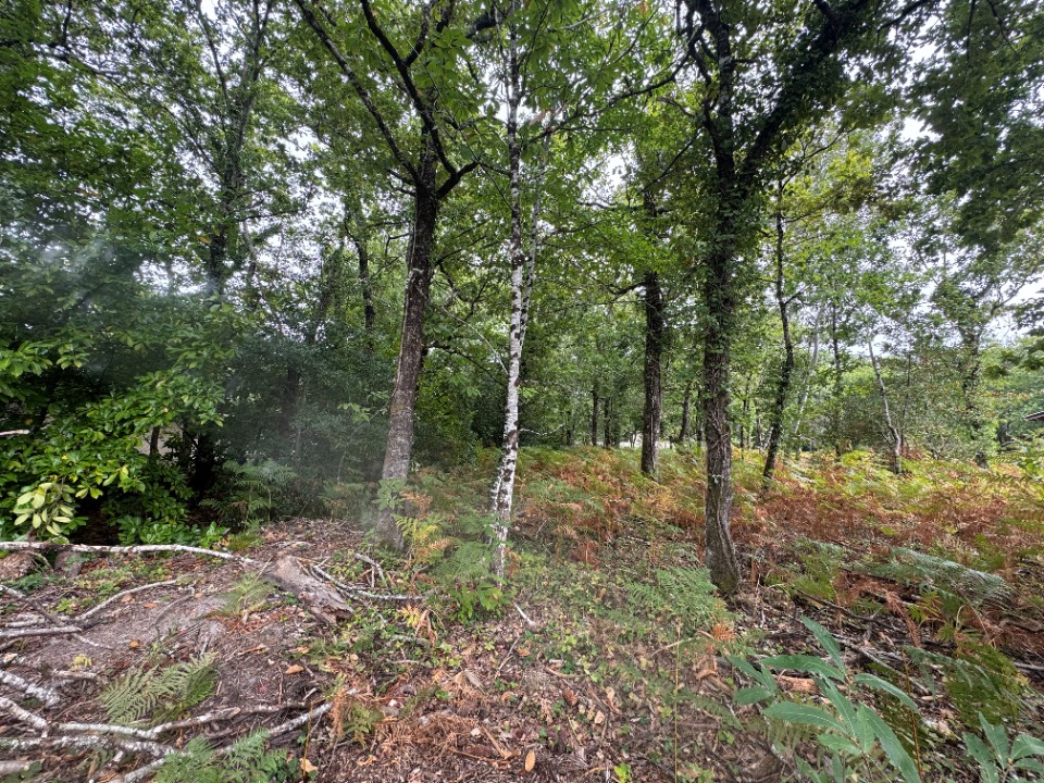 terrain à batir de 2019m2 à Grayan-et-l'Hôpital (33590)