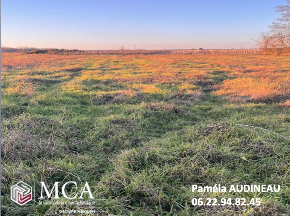 terrain constructible viabilisé de 1550m2 disponible à Cérons (33720)