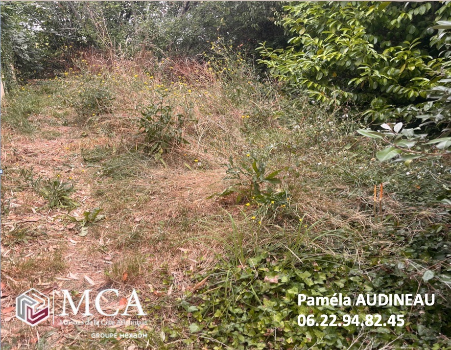 Offre de terrain à batir viabilisé en vente à Loupiac (33410)