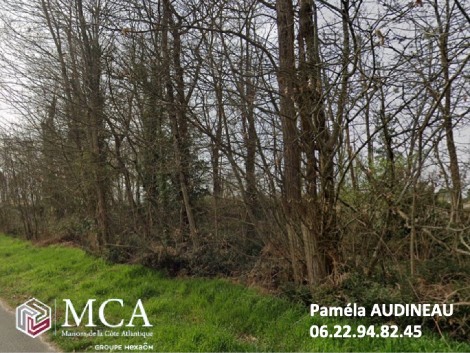 Magnifique terrain à batir viabilisé de 702m2 à Fargues (33210)