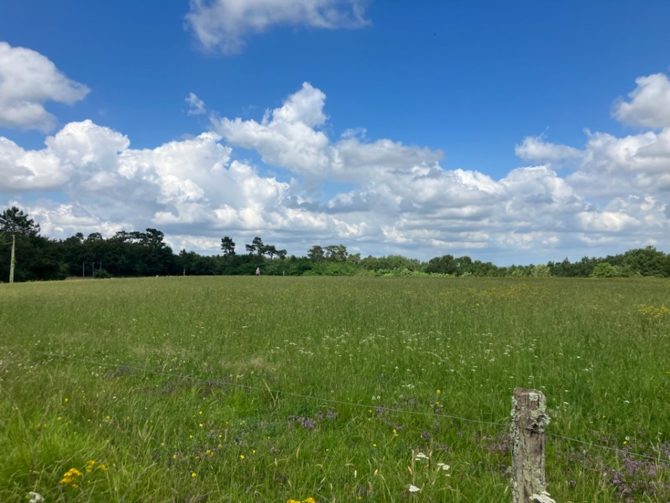 Beau terrain disponible à Montlieu-la-Garde