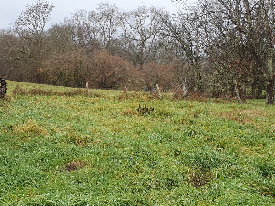 Joli terrain à vendre viabilisé de 794m2 disponible à Val de Virvée (33240)