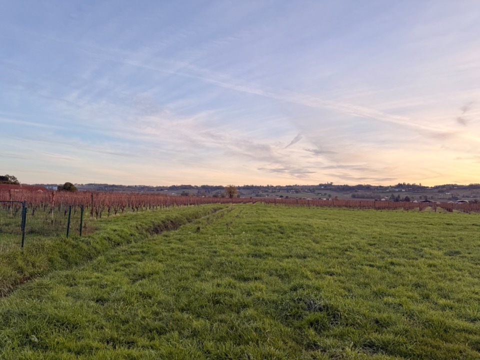 Superbe terrain constructible viabilisé de 1600m2 en vente à Saint-Laurent-des-Vignes (24100)