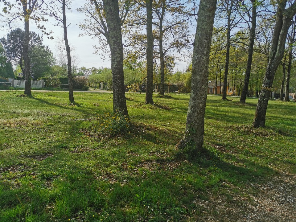 terrain à construire viabilisé en vente à Roaillan (33210)