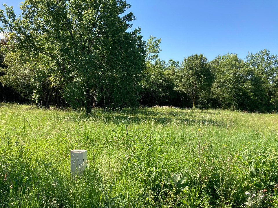 Offre de terrain à batir à Saint-Vaize (17100)