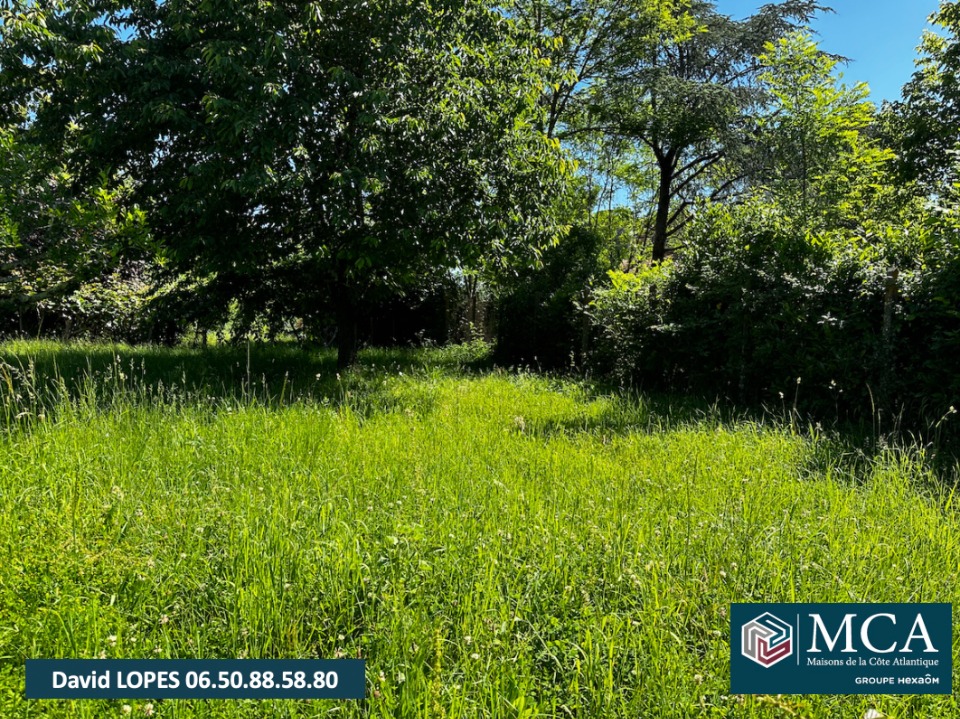 terrain constructible viabilisé de 600m2 à Branne (33420)