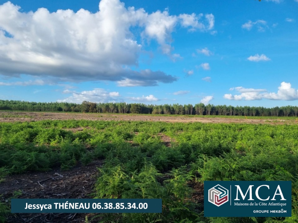 Parcelle de terrain à construire viabilisé en vente à Laluque (40465)