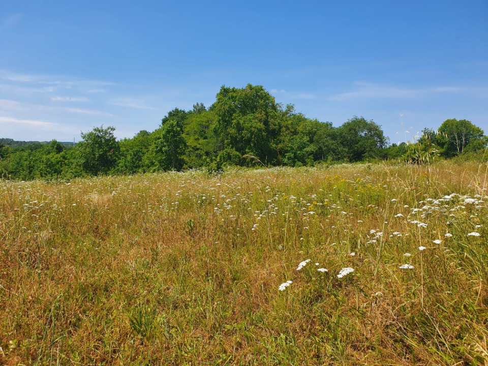 terrain de 320m2 à Abzac (33230)