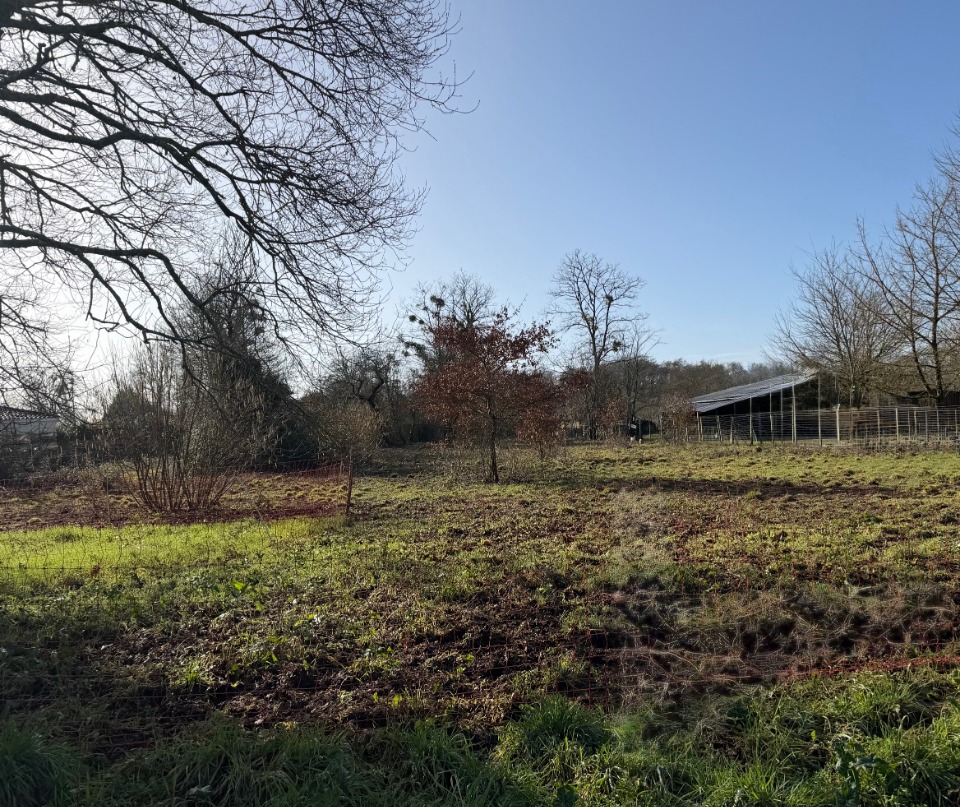 Beau terrain à vendre viabilisé de 3000m2 à Villandraut (33730)