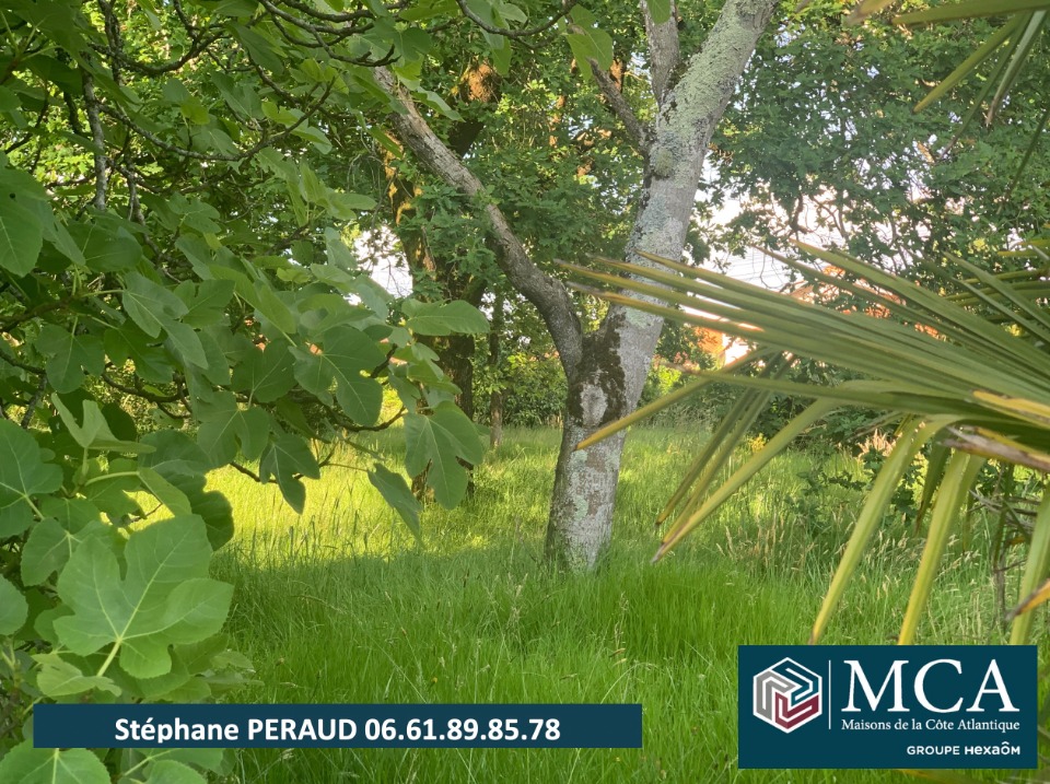 terrain à vendre de 720m2 en vente à Port-de-Lanne (40300)