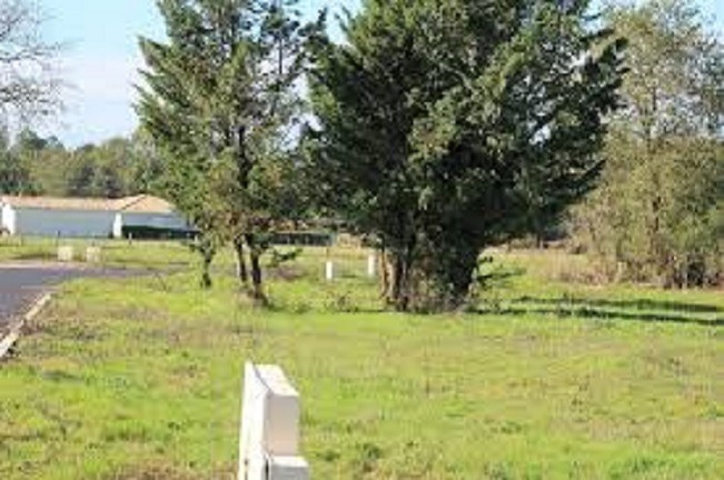 terrain viabilisé de 326m2 à Belin-Béliet (33830)