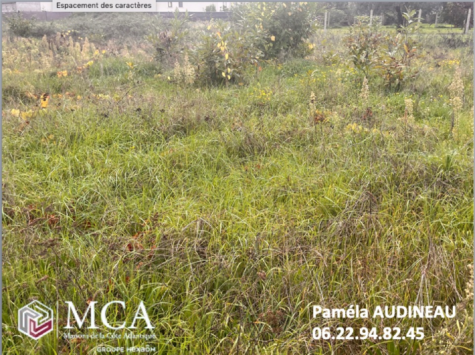 Charmant terrain constructible viabilisé de 700m2 à Podensac (33720)