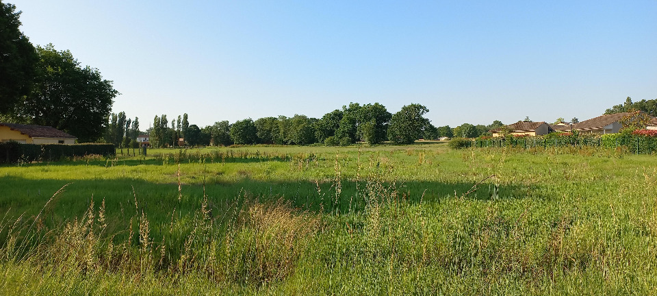 Offre de terrain à batir viabilisé de 1500m2 en vente à Montpon-Ménestérol (24700)