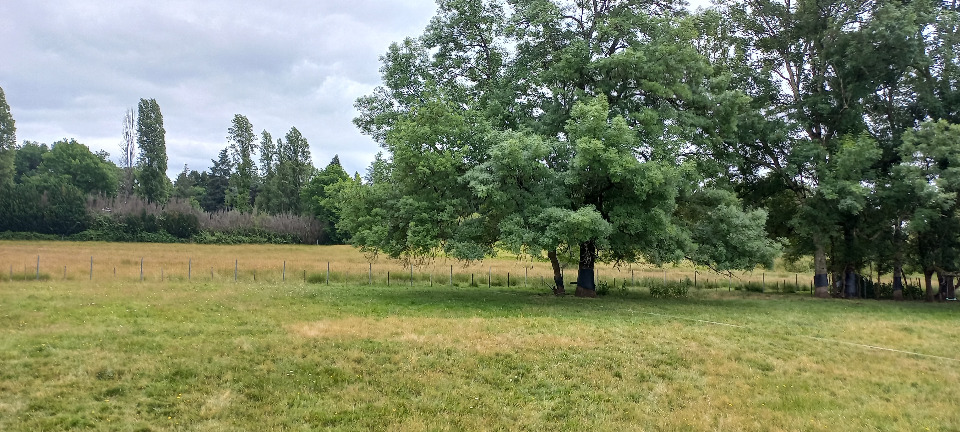 Sublime terrain à vendre viabilisé de 1200m2 en vente à Ménesplet (24700)