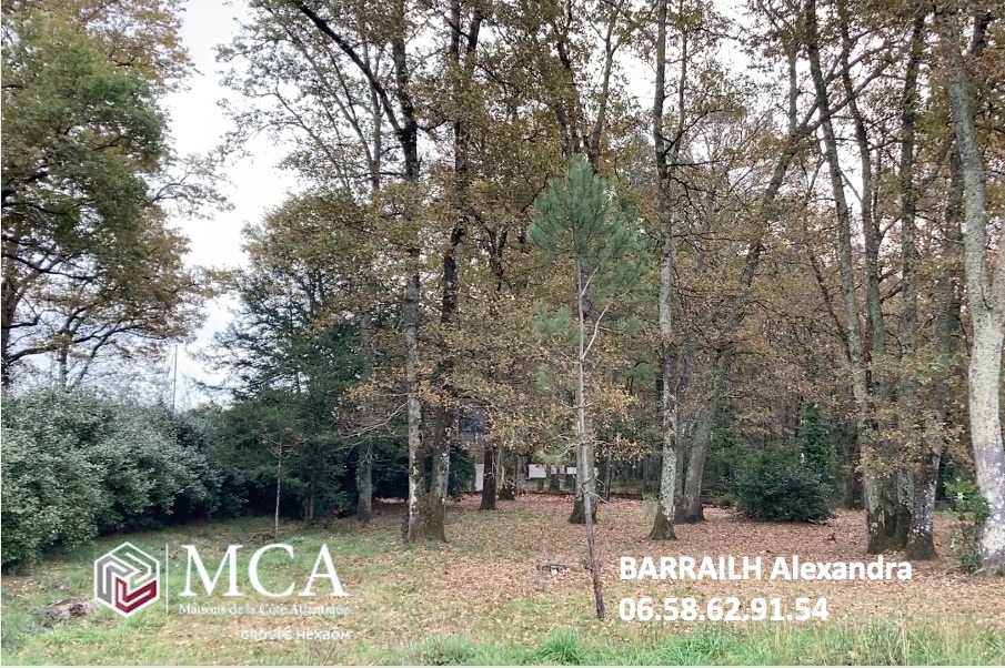 Beau terrain disponible à Le Taillan-Médoc (33320)