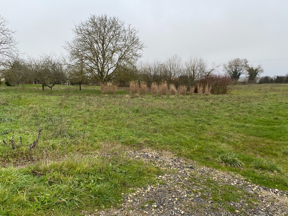 Ravissant terrain viabilisé en vente à Champagne