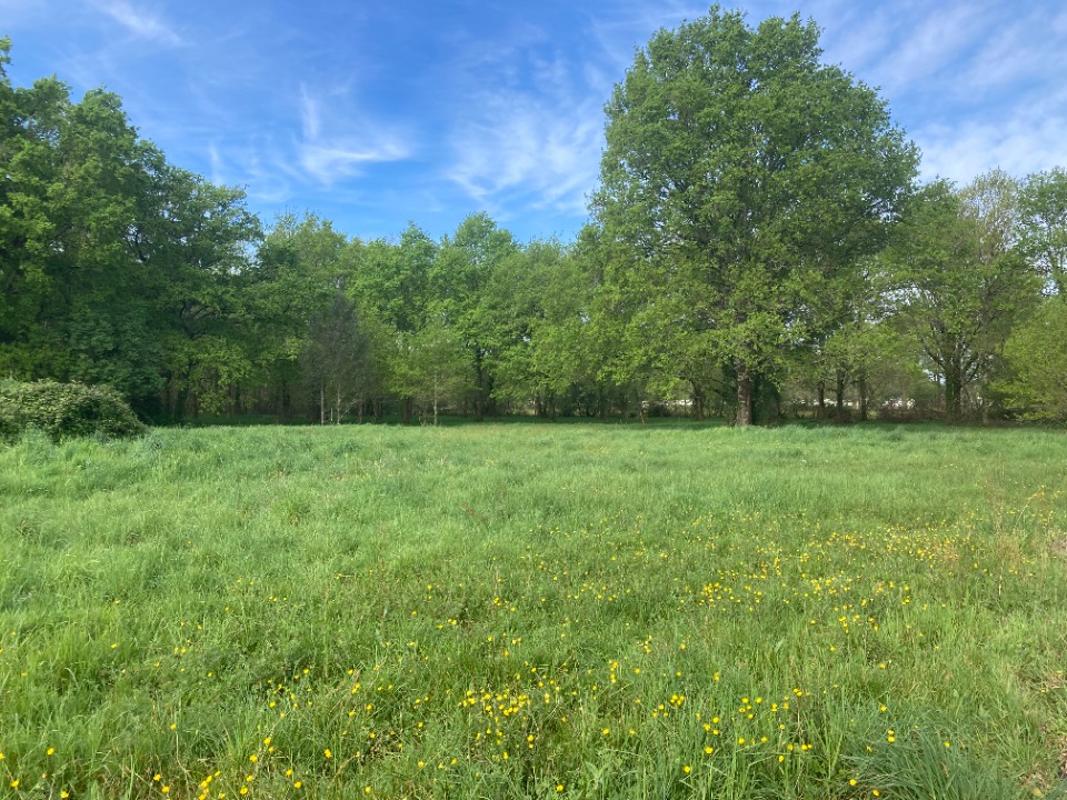 Charmant terrain en vente à Vensac