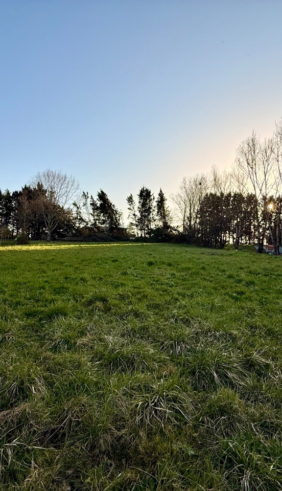 Agréable terrain à construire viabilisé de 2590m2 disponible à Saint-Nexans