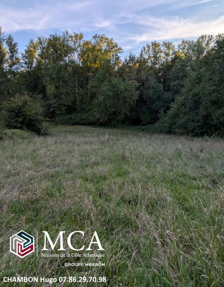 Agréable terrain à construire viabilisé de 2840m2 en vente à Colayrac-Saint-Cirq