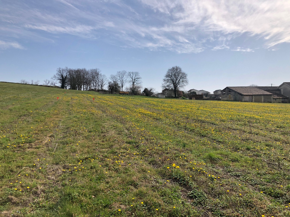 terrain viabilisé de 1089m2 en vente à Camblanes-et-Meynac