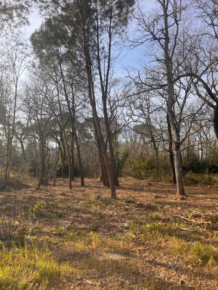 terrain constructible disponible à Landiras (33720)