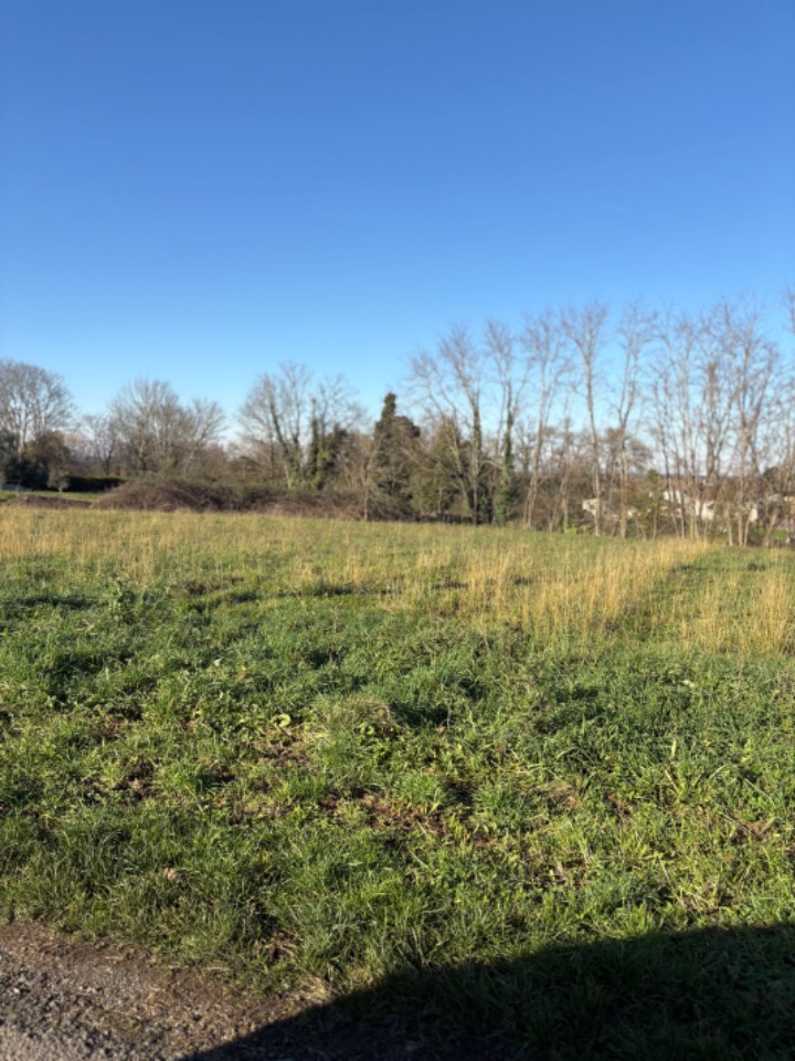 Superbe terrain viabilisé de 1000m2 à Branne (33420)