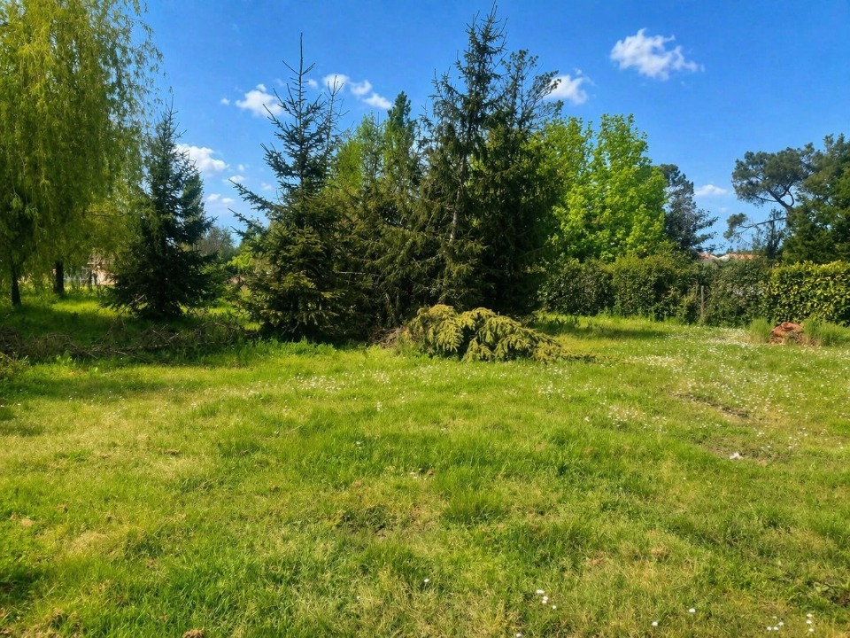 terrain à vendre de 1000m2 disponible à Lesparre-Médoc (33340)
