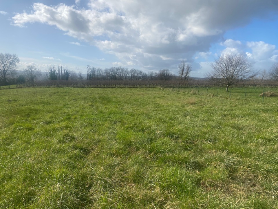 Ravissant terrain à vendre viabilisé à Monségur