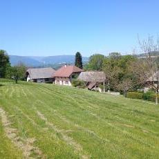 SOUS LES CHATAIGNIERS