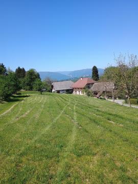 SOUS LES CHATAIGNIERS