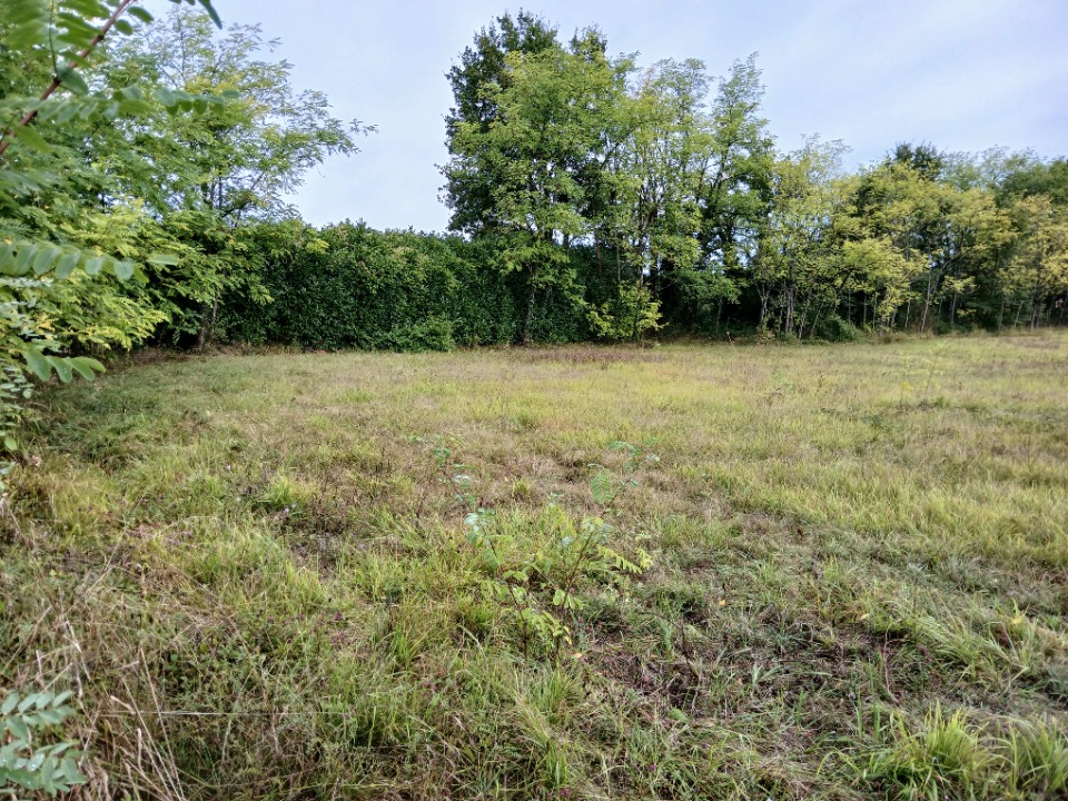 Ravissant terrain viabilisé de 1800m2 en vente à Montagrier (24350)
