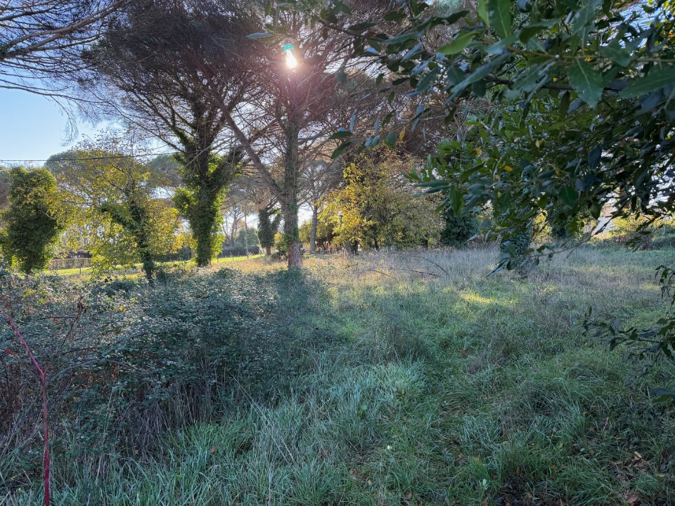Très beau terrain de 1080m2 disponible à Saint-Maixant (33490)