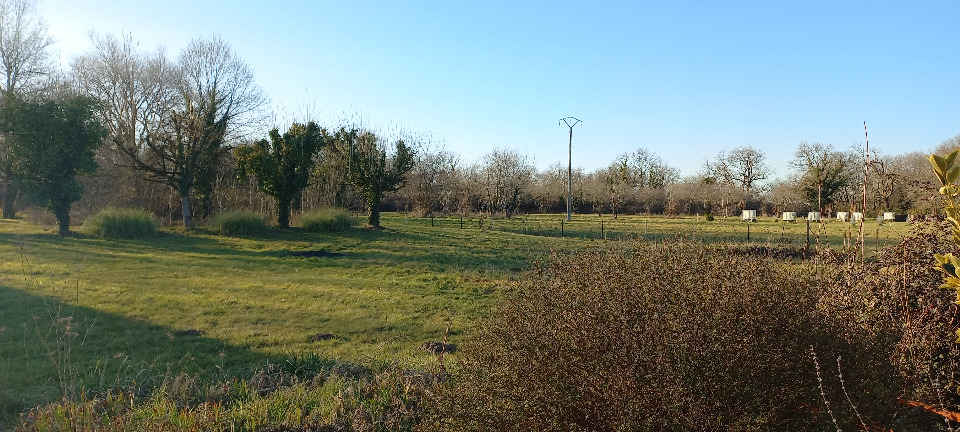 terrain à construire viabilisé de 1000m2 disponible à Ménesplet (24700)