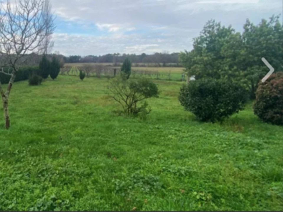 Charmant terrain à batir de 500m2 en vente à Cartelègue (33390)